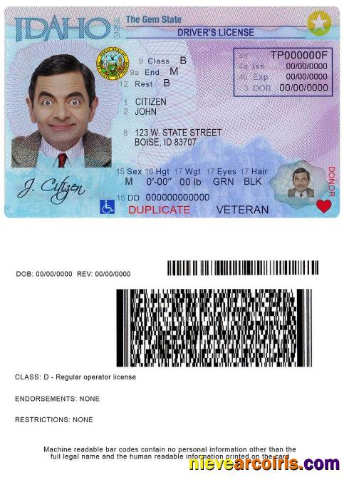 USA Idaho driver license